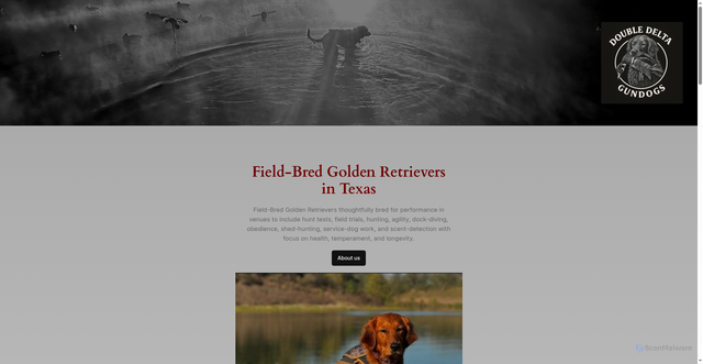 Security scan screenshot of https://www.doubledeltagundogs.com/