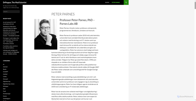 Security scan screenshot of http://www.parnes.com