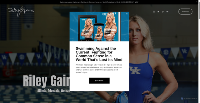 Security scan screenshot of https://www.rileygaines.com/