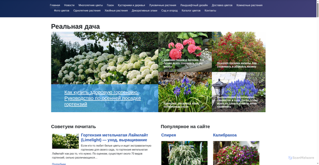Security scan screenshot of https://realdacha.ru