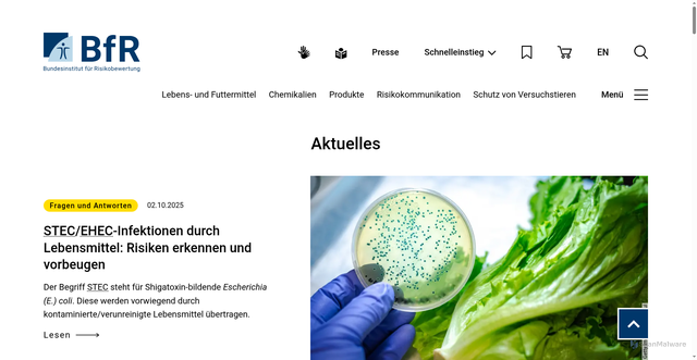 Security scan screenshot of https://www.bfr.bund.de/