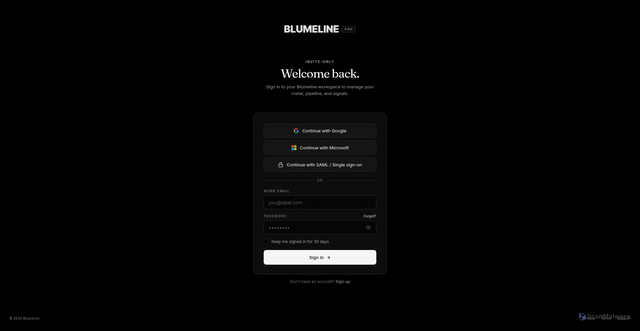 Security scan screenshot of https://blumeline.xyz/