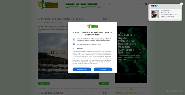 Security scan screenshot of https://img.izismile.com