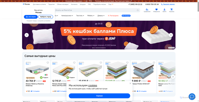 Security scan screenshot of https://mnogosna.ru
