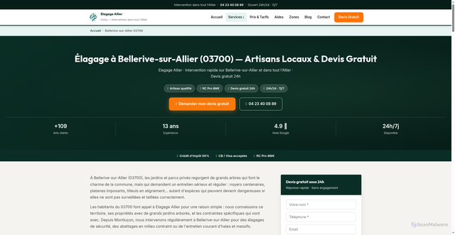 Security scan screenshot of https://elagage-abattage-allier.fr/elagage-bellerive-sur-allier-03700/