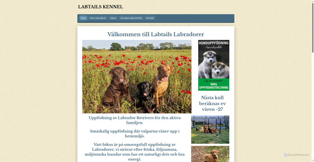 Security scan screenshot of https://labtails.se