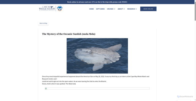 Security scan screenshot of https://capemaywhalewatch.com/blog/the-mystery-of-the-oceanic-sunfish-mola-mola/
