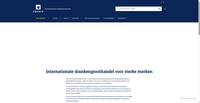 Security scan screenshot of https://www.squaredranken.nl