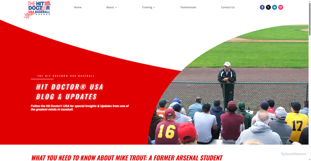 Security scan screenshot of https://thehitdoctorusa.com/about-mike-trout/