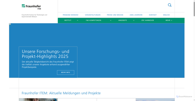 Security scan screenshot of http://www.item.fraunhofer.de
