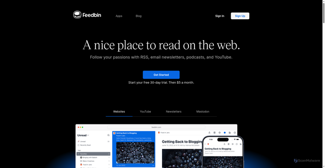 Security scan screenshot of https://api.feedbin.com