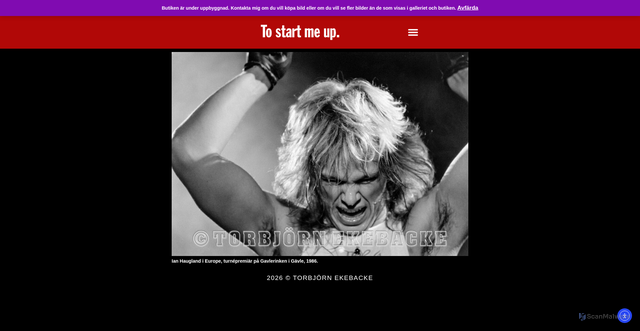 Security scan screenshot of https://folkfoto.se