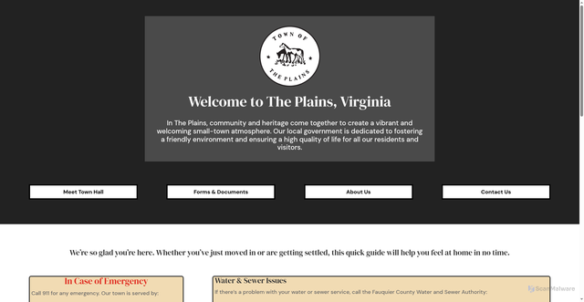 Security scan screenshot of https://www.townoftheplainsvirginia.gov/