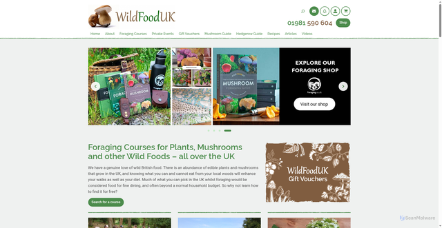 Security scan screenshot of https://www.wildfooduk.com