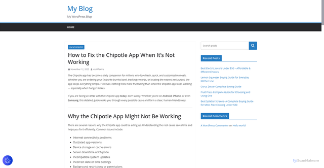 Security scan screenshot of https://vastlifewire.com/blog/how-to-fix-the-chipotle-app-when-its-not-working/