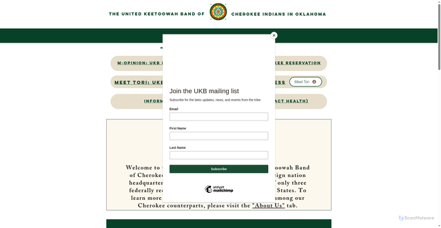 Security scan screenshot of https://www.ukb-nsn.gov/