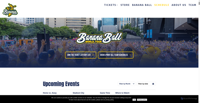 Security scan screenshot of https://thesavannahbananas.com/schedule/