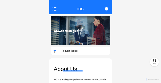 Security scan screenshot of https://idg-vip.online/