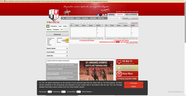 Security scan screenshot of https://www.tjk.org