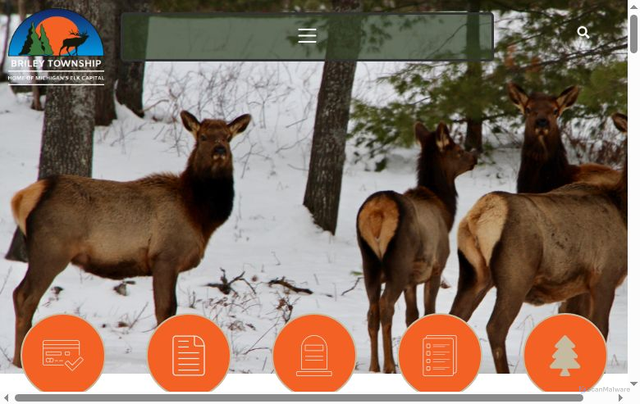 Security scan screenshot of https://brileytownshipmi.gov/