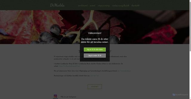 Security scan screenshot of https://dimalda.se