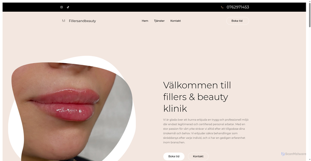 Security scan screenshot of https://fillersandbeauty.se