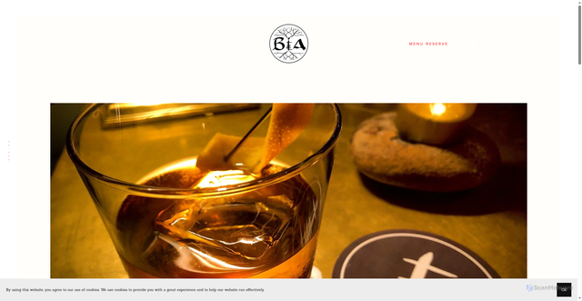 Security scan screenshot of https://bia-rbk.com/