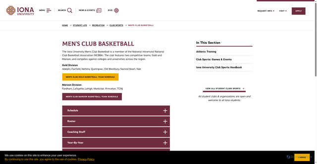 Security scan screenshot of https://www.iona.edu/student-life/recreation/club-sports/mens-club-basketball