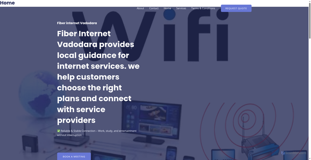 Security scan screenshot of https://fiberinternet.online