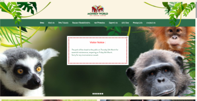 Security scan screenshot of https://monkeyworld.org/