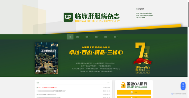 Security scan screenshot of https://lcgdbzz.org