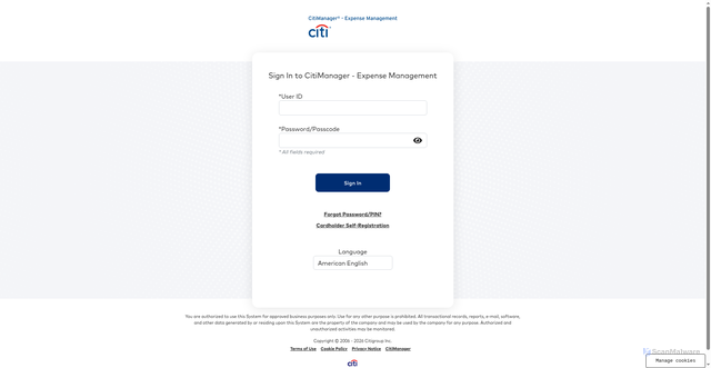 Security scan screenshot of https://www.globalmanagement.citidirect.com