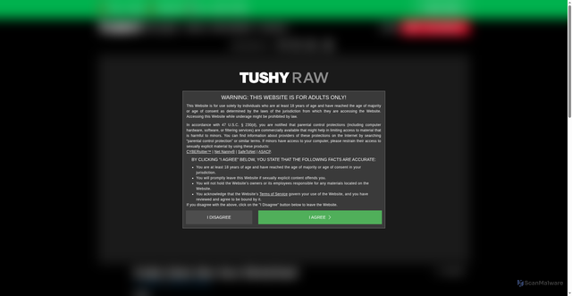 Security scan screenshot of https://www.tushyraw.com/videos/cutie-gets-her-ass-stretched
