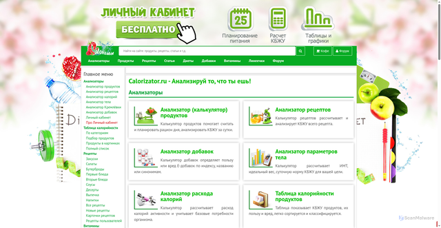Security scan screenshot of https://calorizator.ru