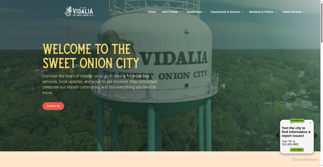 Security scan screenshot of https://vidaliaga.gov/