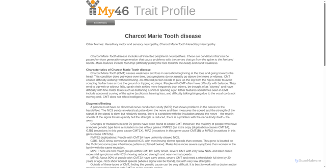 Security scan screenshot of https://www.my46.org/trait-document?trait=Charcot+Marie+Tooth+disease&type=profile