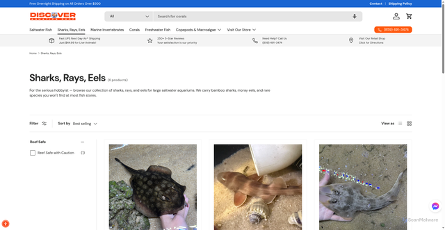 Security scan screenshot of https://discoveraquaticsshop.com/collections/sharks-rays-eels?srsltid=AU7gw4WsyNijbfHLW1bQSG5RnYGpCsE2VecGG13QvQr05xLrma0k3wqV