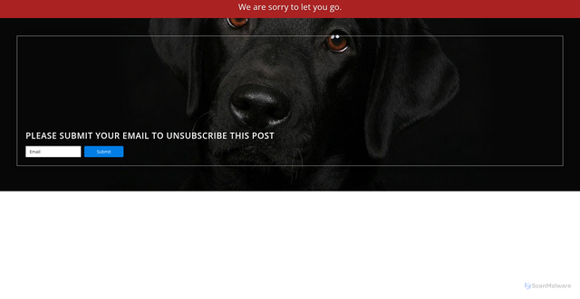Security scan screenshot of http://exipurereviews.top/unsubscribe.php?code=emal2324854621260ma