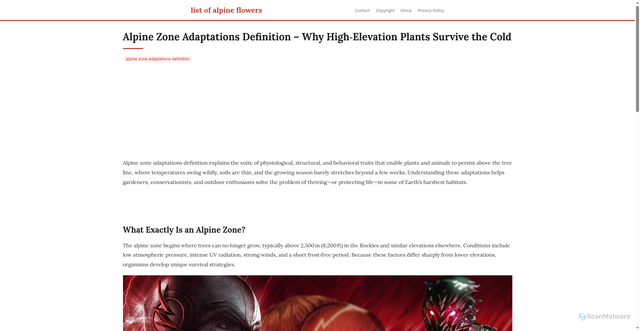 Security scan screenshot of https://vistalokalflow-dpmdyp2ylod7.edgeone.app/alpine-zone-adaptations-definition.html