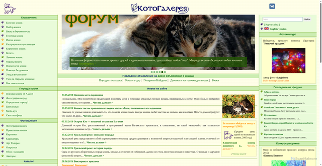 Security scan screenshot of https://catgallery.ru