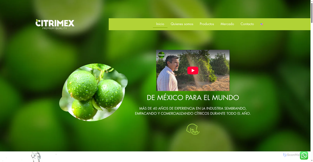 Security scan screenshot of https://citrimex.mx/