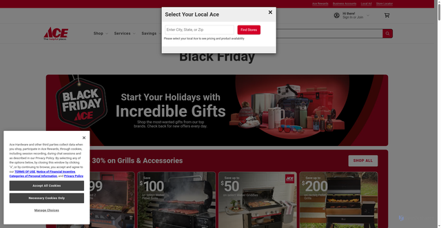 Security scan screenshot of https://www.acehardware.com/events/black-friday