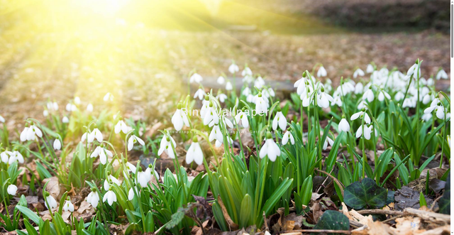 Security scan screenshot of https://bing-wallpaper-k2hpx2jaem.edgeone.dev/