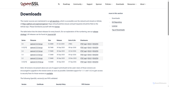 Security scan screenshot of https://www.openssl-library.org/source/
