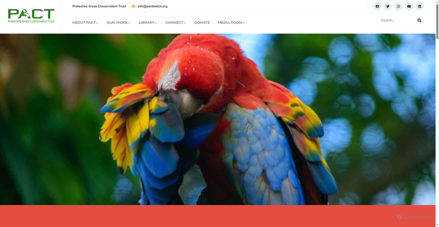 Security scan screenshot of https://www.pactbelize.org/