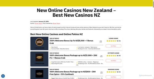 Security scan screenshot of https://cartertondc.co.nz/