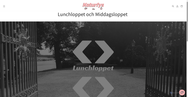 Security scan screenshot of https://lunchloppet.se