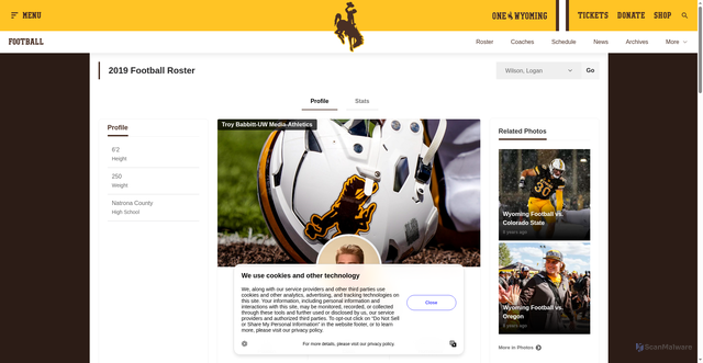 Security scan screenshot of https://gowyo.com/sports/football/roster/logan-wilson/4629