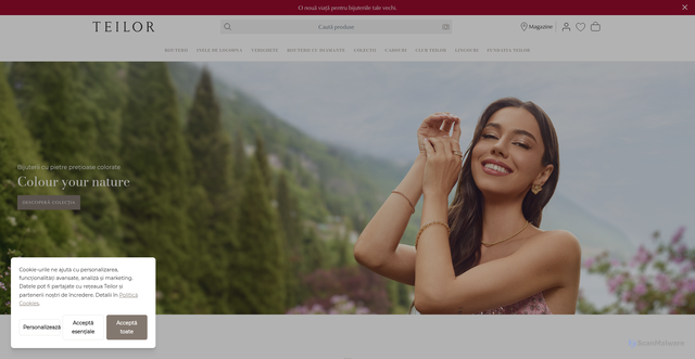 Security scan screenshot of https://teilor.ro