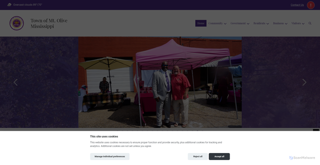 Security scan screenshot of https://townofmtolivems.com/